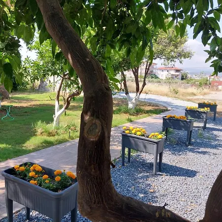 Miss Mandarin Bungalow Evleri * Alanya
