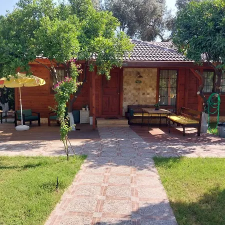 Miss Mandarin Bungalow Evleri Bed & Breakfast *
