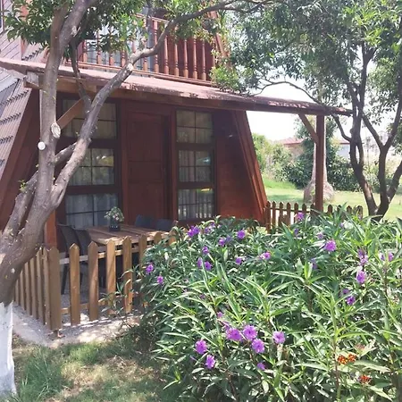 Miss Mandarin Bungalow Evleri Bed & Breakfast *