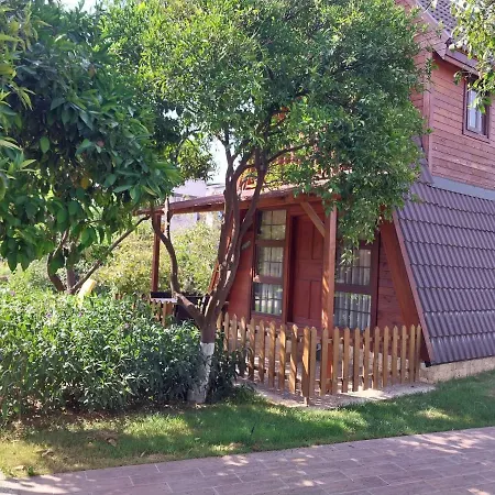 Miss Mandarin Bungalow Evleri * Alanya