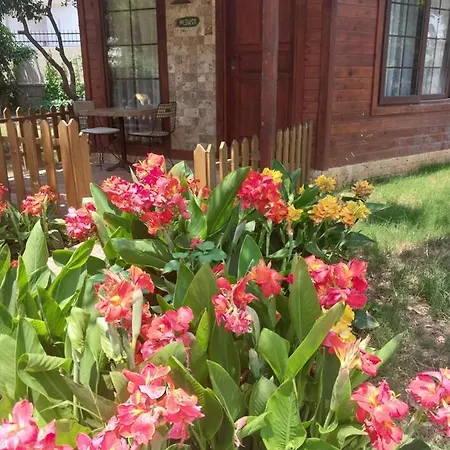 Miss Mandarin Bungalow Evleri Nocleg ze śniadaniem *
